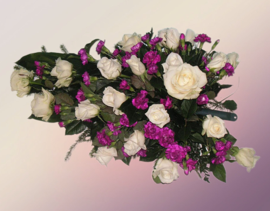 vihko 26