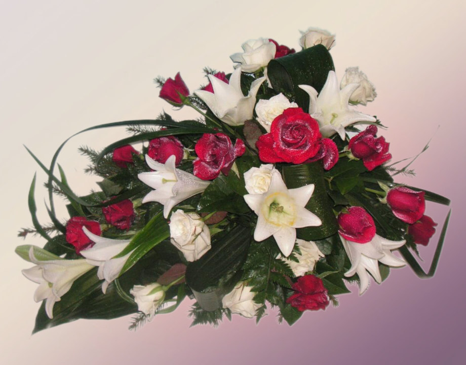 vihko 5